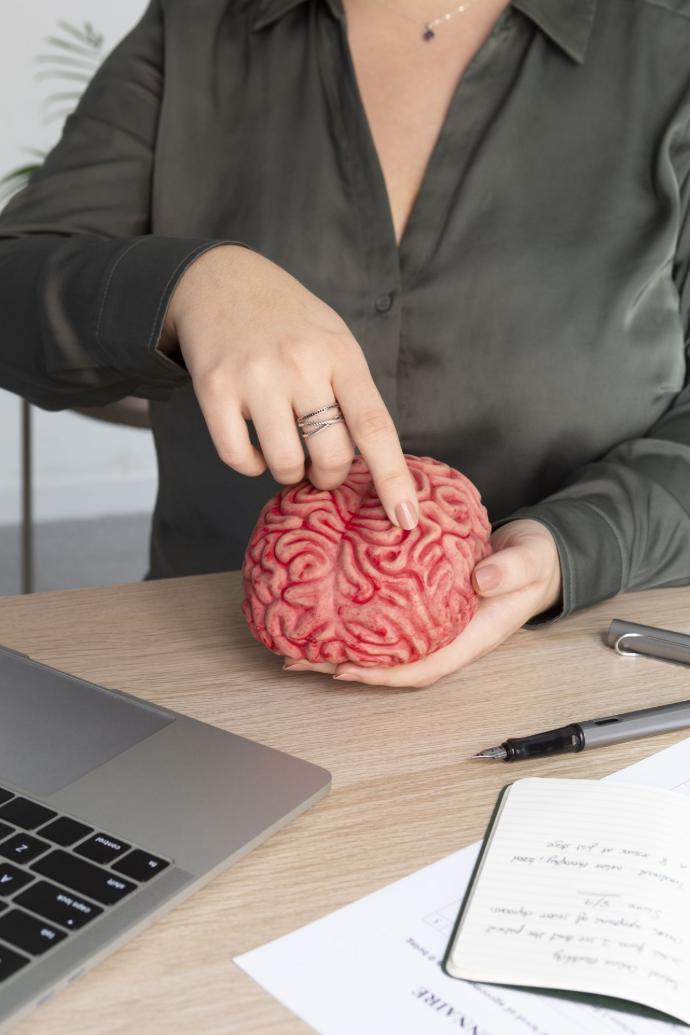 Neuropsicología de las funciones ejecutivas y de la cognición social
