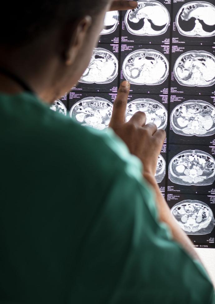 Neuropsicología del daño cerebral adquirido y de las demencias