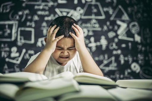 Trastornos del Neurodesarrollo y Escuela