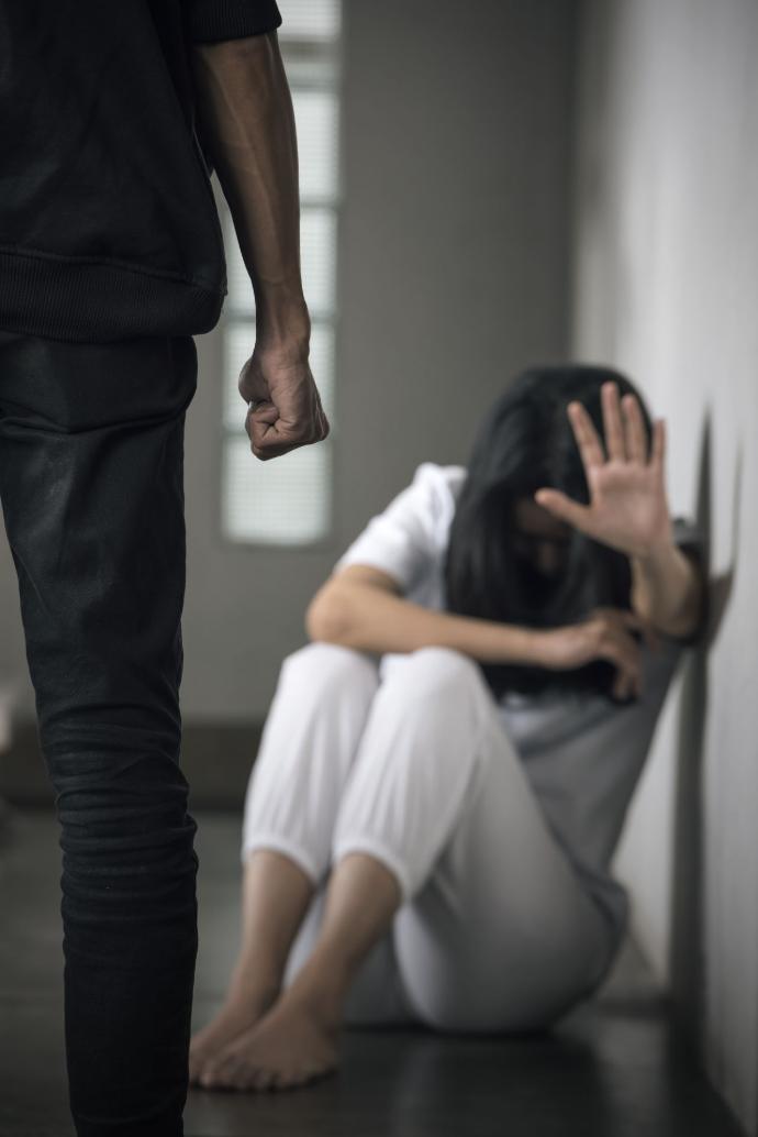 Abordaje Sistémico en violencia intrafamiliar